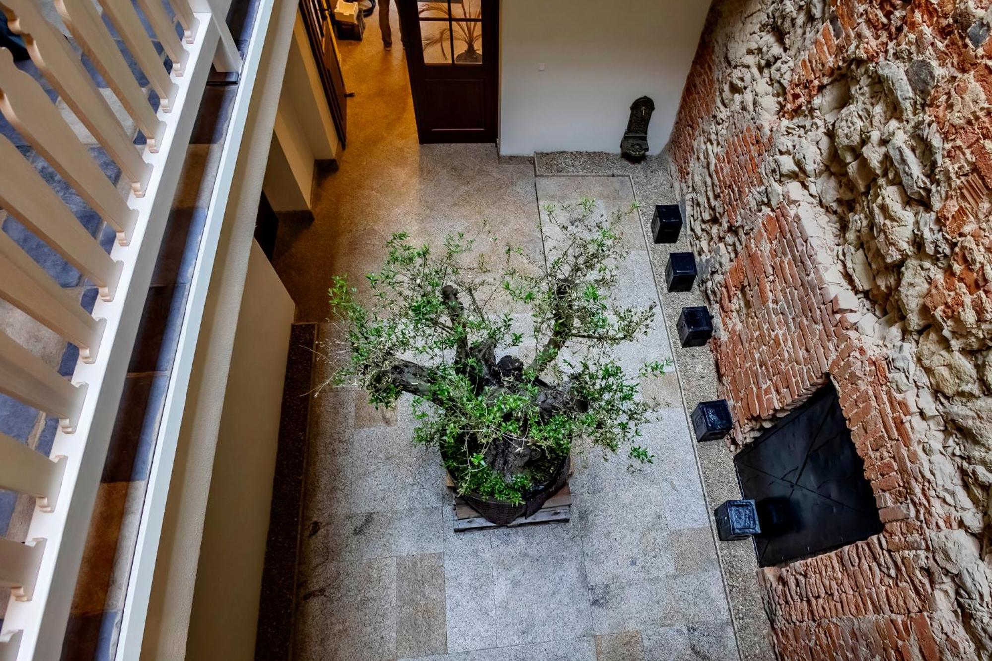 Lubartowska 19 Apartamenty ルブリン エクステリア 写真